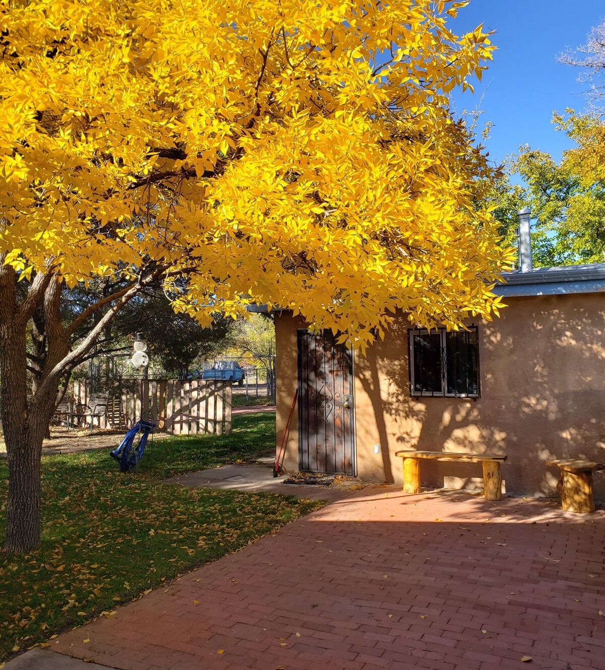 BBT honeymoon pic 2 e1730926225298